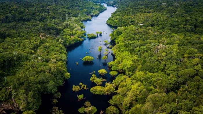 climate-biodiversity-1920x1080