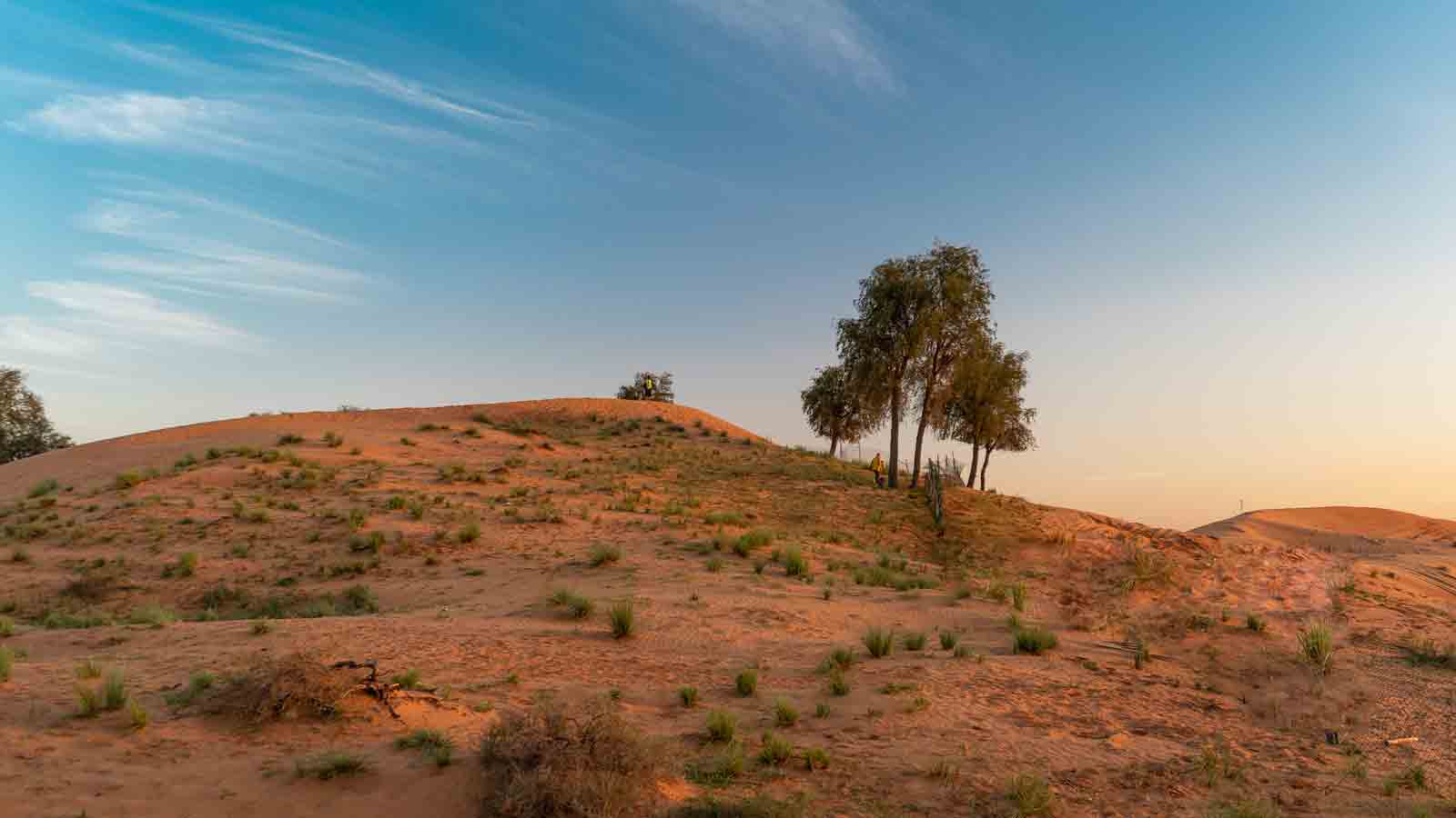 Ras Al Khaimah desert